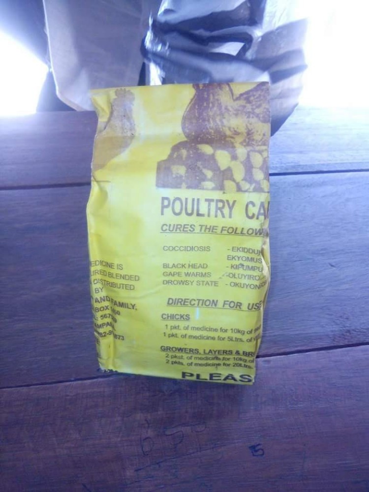 Poultry Medicine