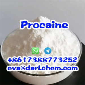 Pharmaceutical Grade Raw Procaine Base Procaine HCl CAS 51-05-8 Chemical Procaine