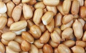 Groundnut