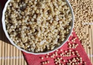 Sorghum