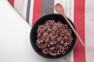 Sorghum