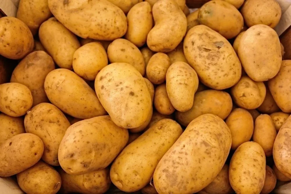 Potato