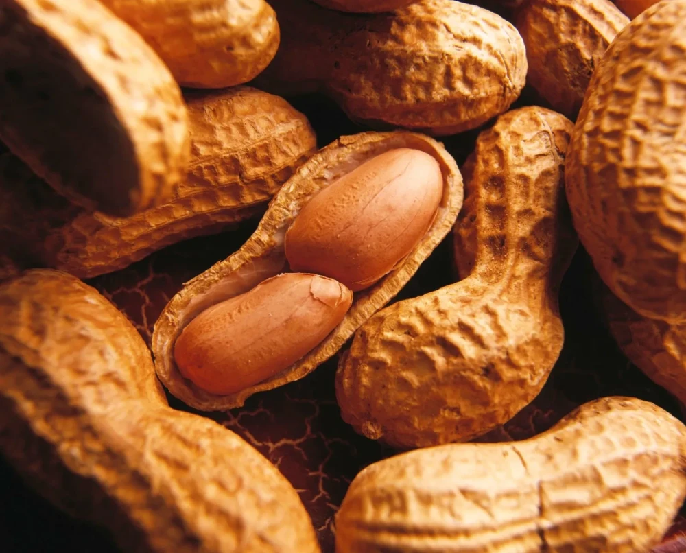 Ground Nuts (Regular)