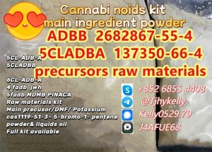 5cladb adbb butinaca 5fadb 4fadb 6cladba raw materials precusor four ingredients with high quality in stock