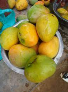 Sudanese Mangoes 2