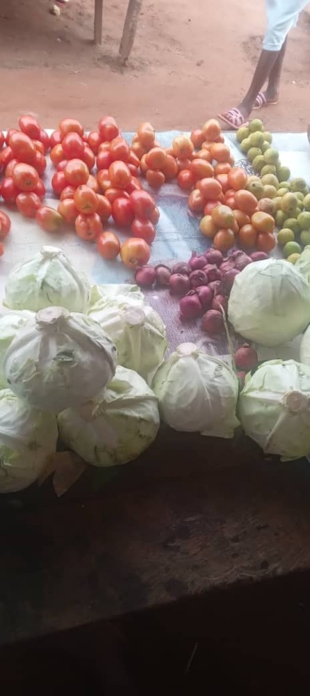 Cabbage  and Tomatoes each cabbage is 2000ssp