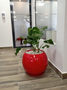 fibreglass flower pots and planters