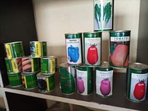 Differnent types of Vegetable Seeds