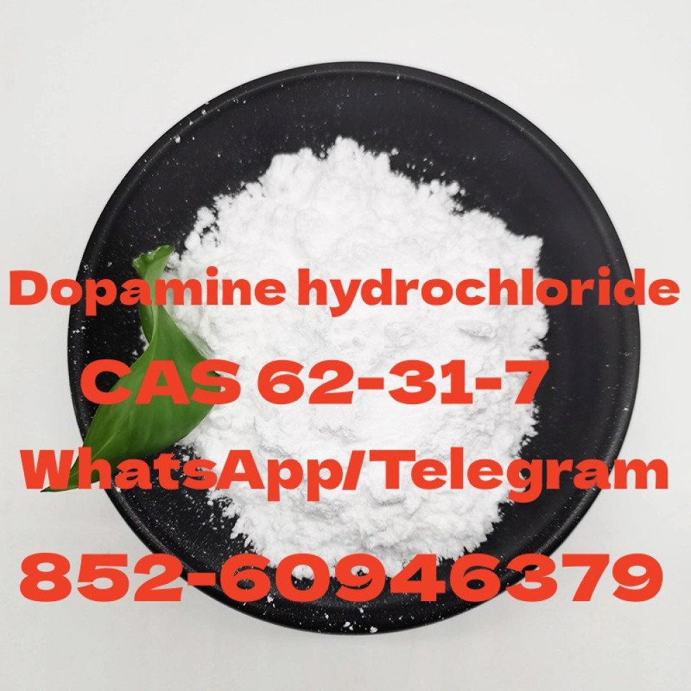 Dopamine hydrochloride CAS 62-31-7