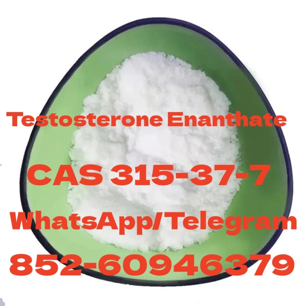 Testosterone Enanthate CAS 315-37-7