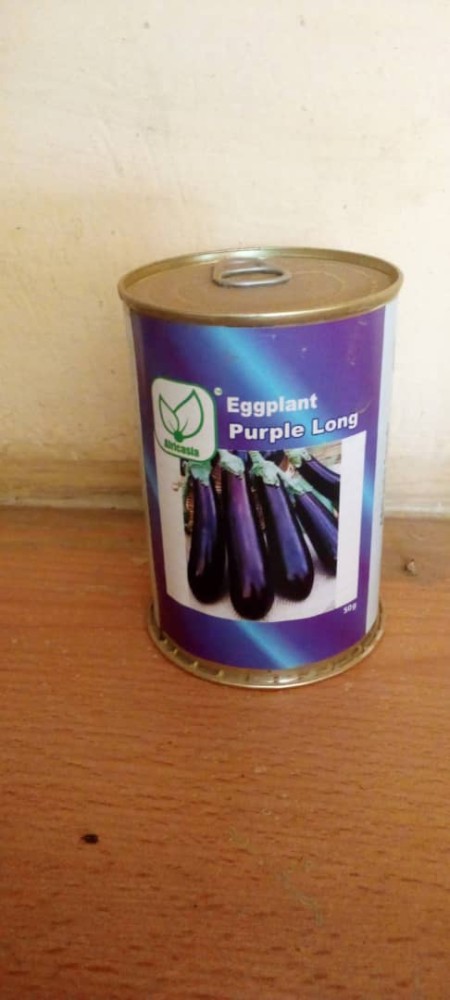 Egg plant