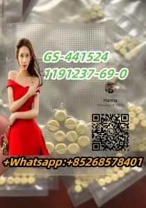 top supplier GS-441524 1191237-69-0