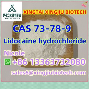 CAS：73-78-9 Lidocaine / Lidocaine HCl Lidocaine Hydrochloride Tetracaine HCl Tetracaine Hydrochloride Safe Shipping