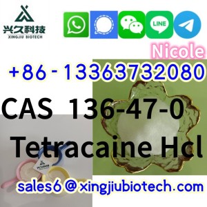 100% delivery Tetracaine Hydrochloride CAS 136-47-0 with China factory