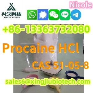 Procaine HCl / Procaine Cas 51-05-8 Procaine Hydrochloride Suppliers China