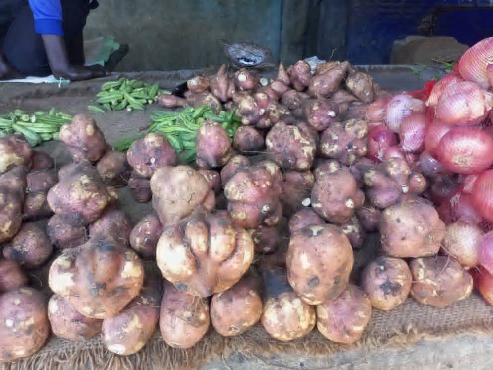 Wholesale for irish potatoes