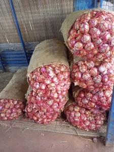 White Onions