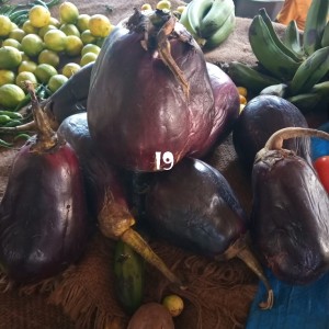 Egg plant (Aswi)