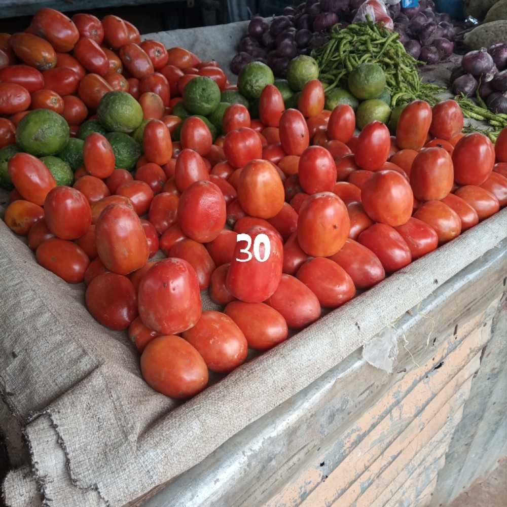 Tomato, green paper, onions