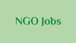 Project Support Officer