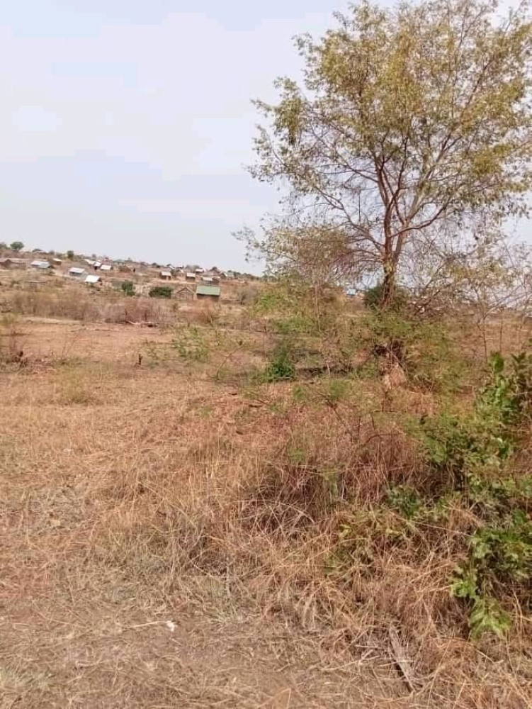 Plot for Sale Gurei