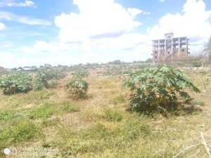 400sqm Plot for sales in Tongping