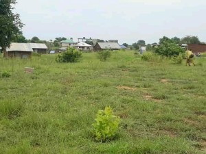 Land For Sell in Jondoro, Kor Rumela