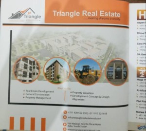 TRIANGLE REAL ESTATE