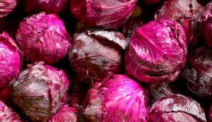Sudanese Red Cabbage