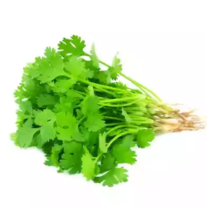 Coriander Leaves - 10 gm