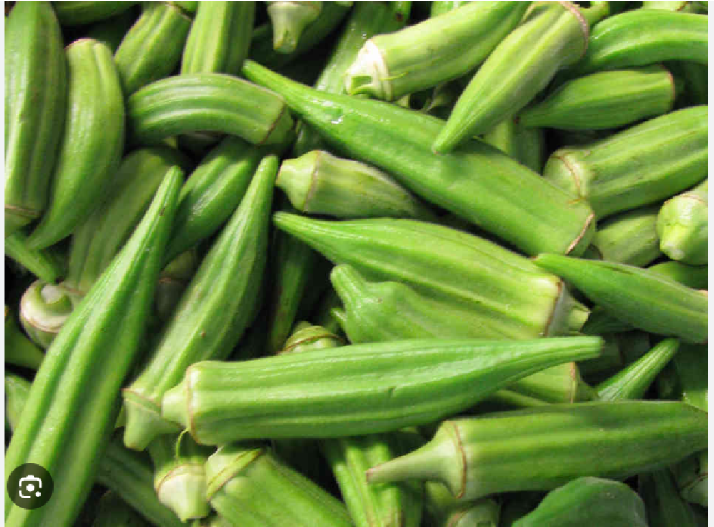 okra ladies finger