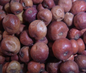 Native Sudanese Fruit