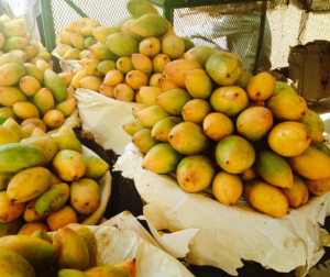 Sudanese Mango