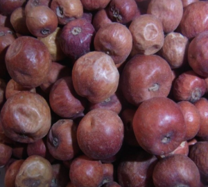 Sudanese Native Fruit