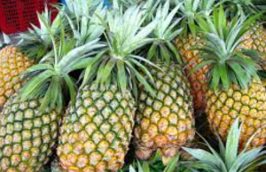 Premium Pineapple