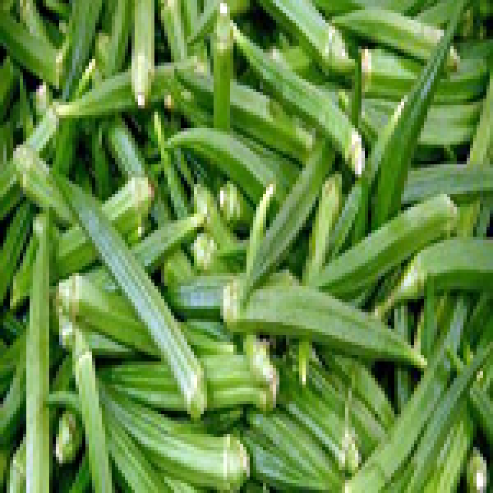 okra  also known as lady's fingers