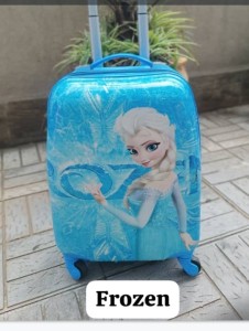 Frozen bag