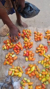 Best Tomatoes direct from the garden