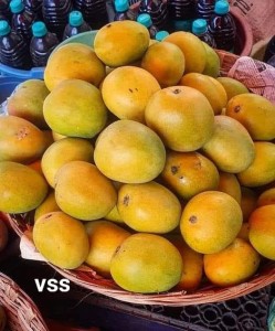 mangoes