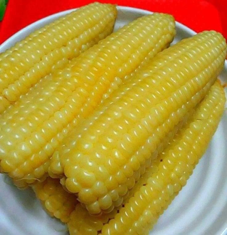 boiled maize