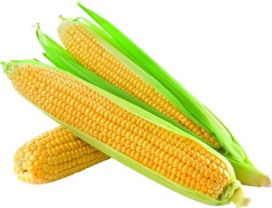 Corn( per KG)