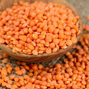 Red Lentils