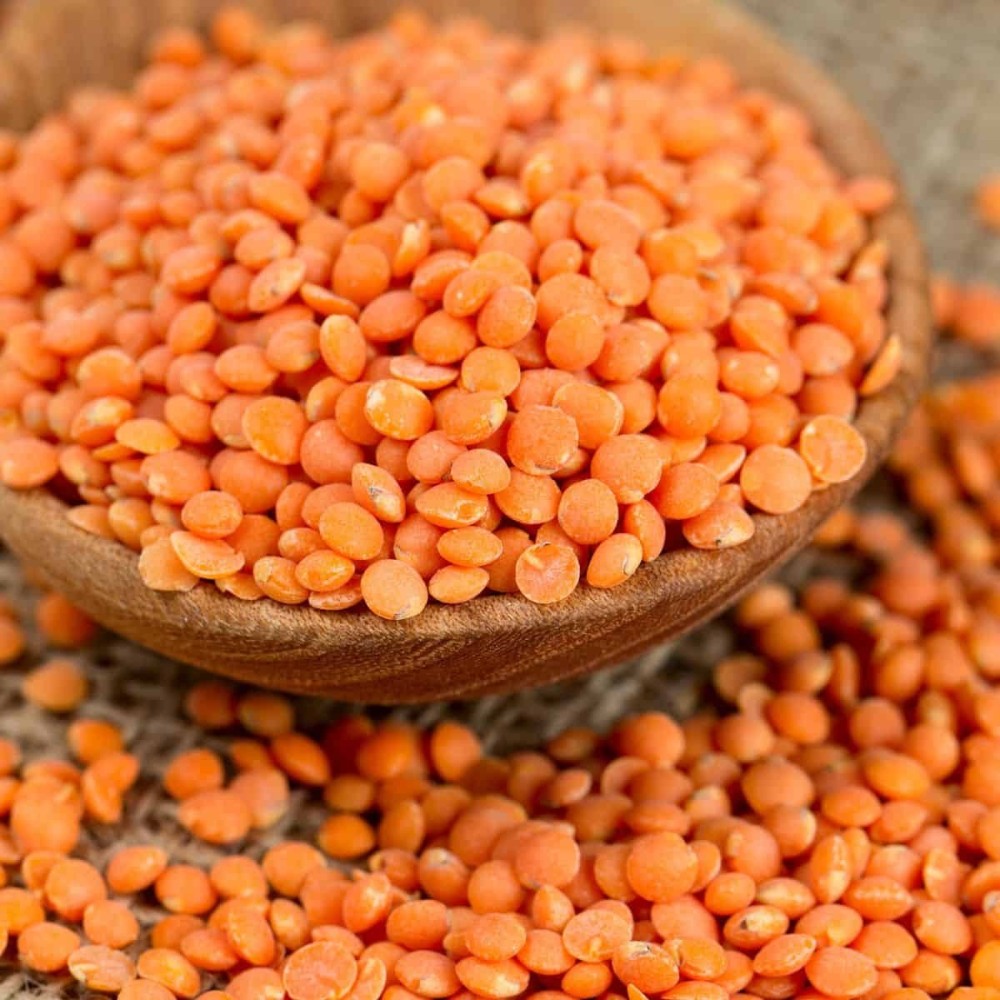 Red Lentils