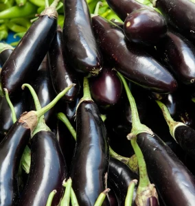 Eggplant Supply