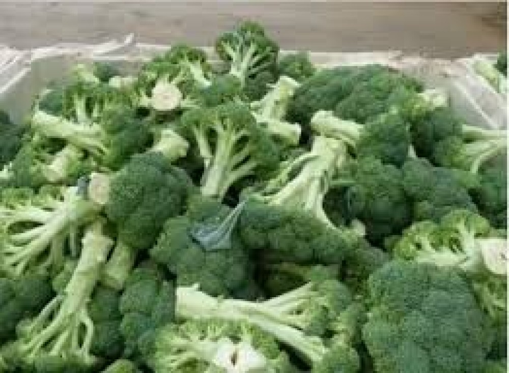 Broccoli Supply