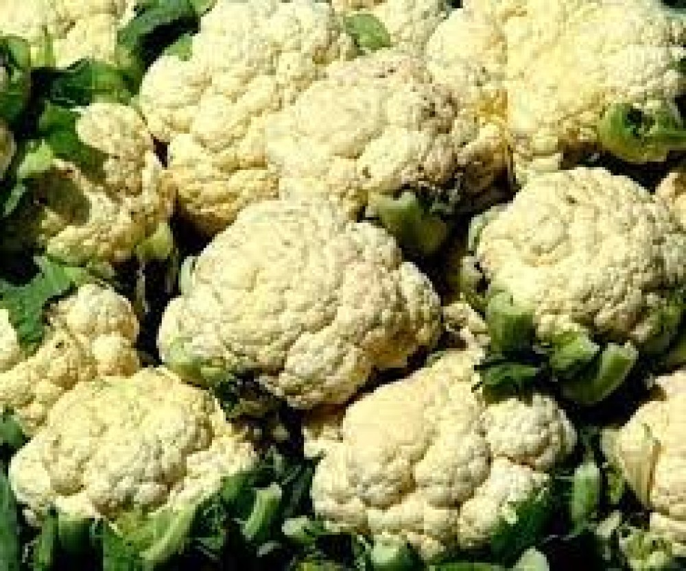 Cauliflower Supply