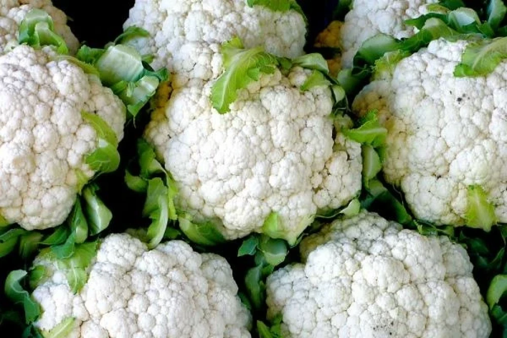 Cauliflower Supply