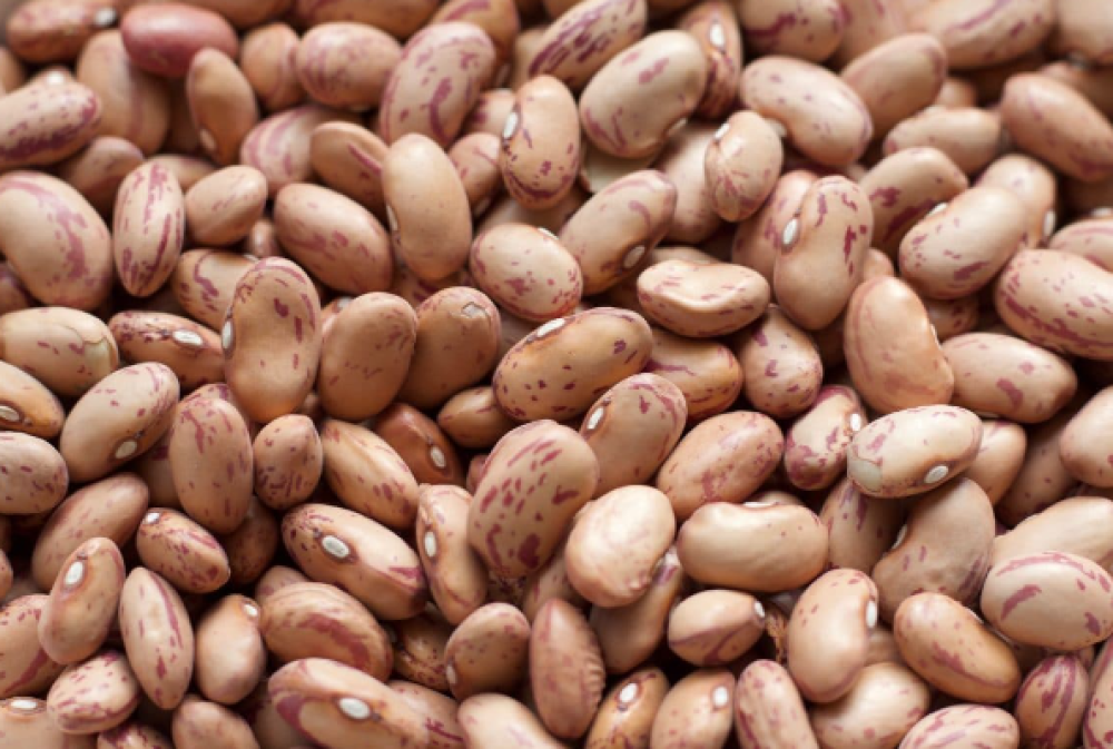 Dried Beans