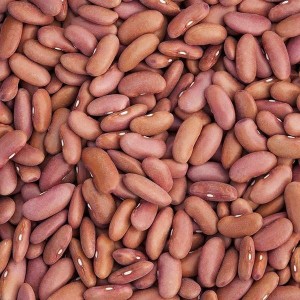 Kidney Beans