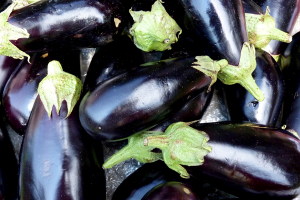 Eggplant